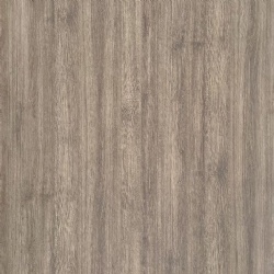 European Oak