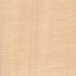 Red Sapele