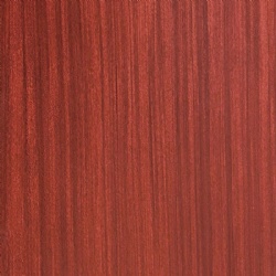 Sapele