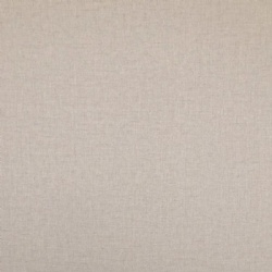 Primary Texture
