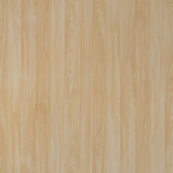 Toronto Maple