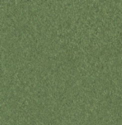 Green Felt