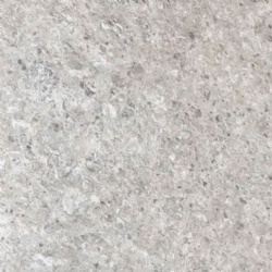 Silver Shale