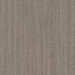 Brown Sand Split
