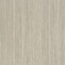 Ayermo Elm