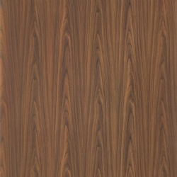 Montana Walnut