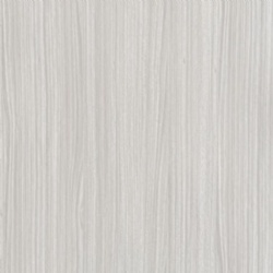 Eucalyptus