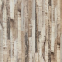 Corona Maple