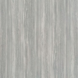 Ivory Elm