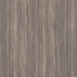 Mocha Elm