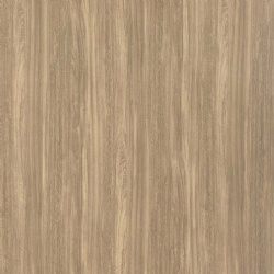Sweet Elm