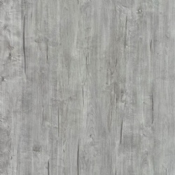 Grey Maple