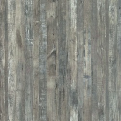 Season Elm