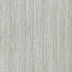 Gray Shadow