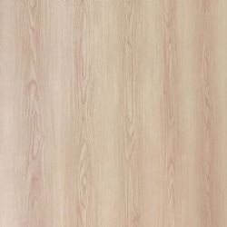 Southern Walnut